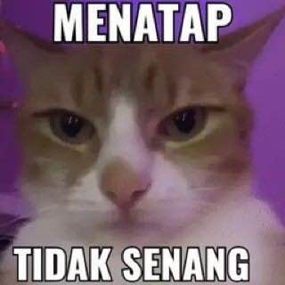 Mulai Buat CV ATS Friendly Gratis Tanpa Watermark di CVGRATIS